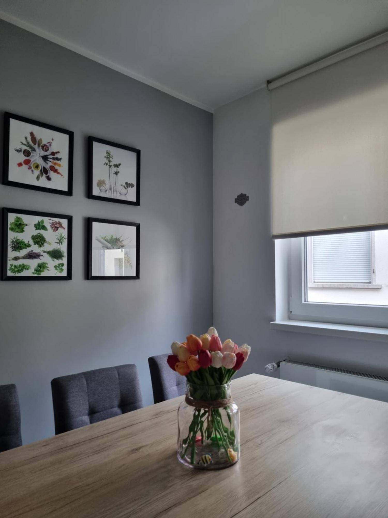 Homestay Business Class